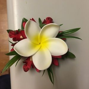 Meet your Posher, Roxanne